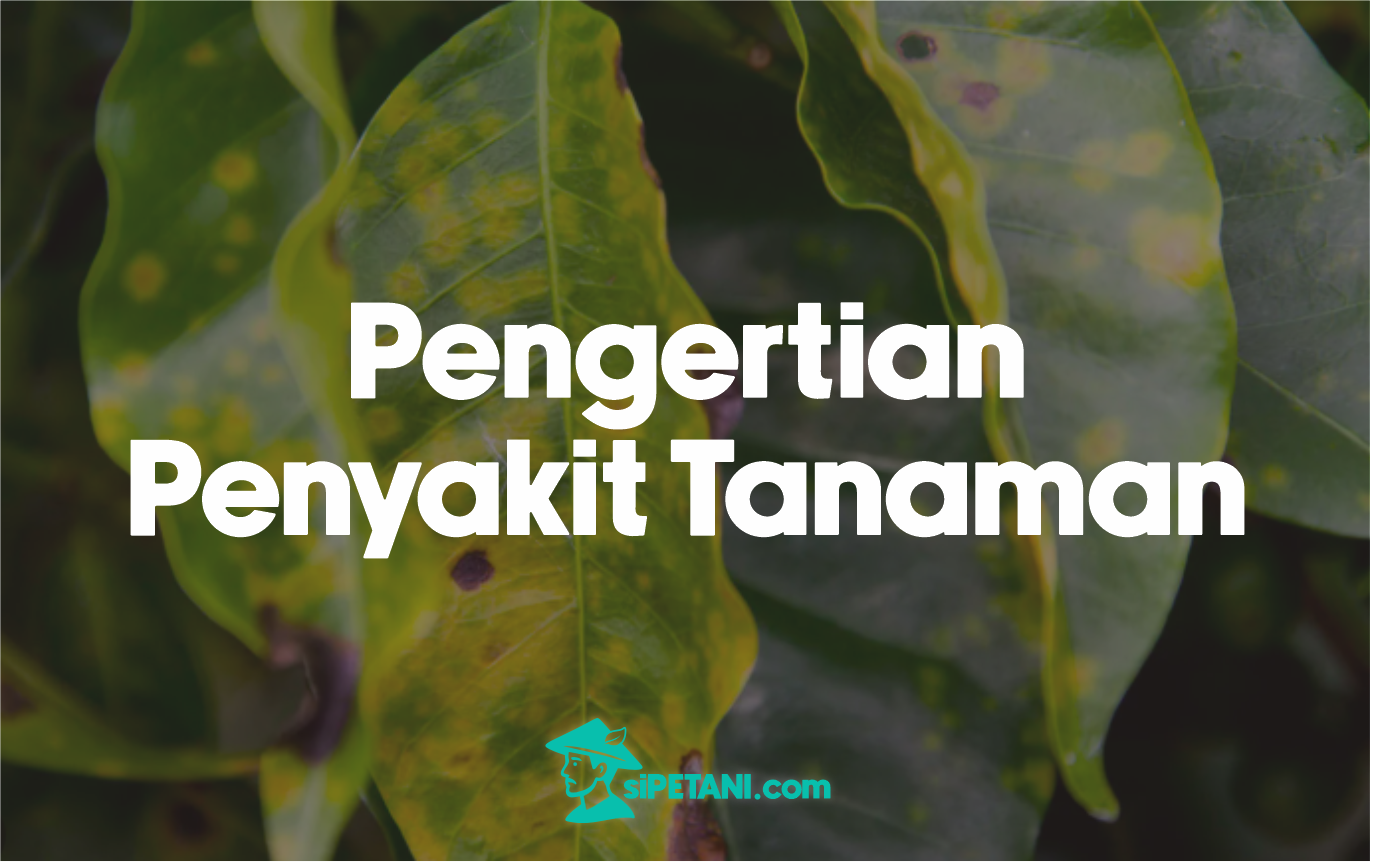 penyakit tanaman